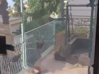 Недвижимость Трехкомнатная квартира в центре: 4