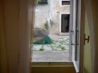 Недвижимость Квартира Волошко, Опатия: 11