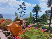 Недвижимость Семейный дом Ичичи: 1