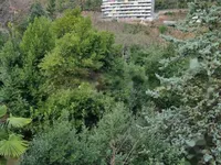 Недвижимость Двухкомнатная квартира в центре: 13