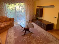 Недвижимость Четырехкомнатная квартира центр: 8