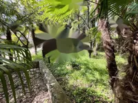 Недвижимость Семейный дом Ика, Опатия: 27