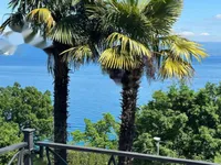 Недвижимость Многоквартирный дом Опатия: 3