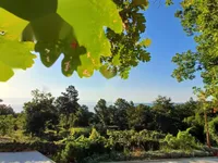 Недвижимость Семейный дом в центре Опатии: 30