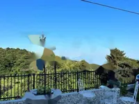 Недвижимость Дом в Польяне, Опатия: 3