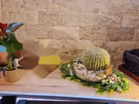 Недвижимость Двухкомнатная квартира в центре: 13