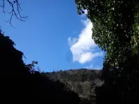 Недвижимость Семейный дом Поляне, Опатия: 11