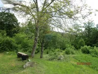 Недвижимость Семейный дом Вепринац: 10