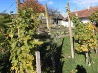 Недвижимость Дом, Бенедикт: 27