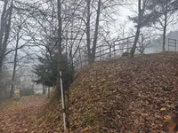 Недвижимость Дом, Чемшеник, Ржишче: 13