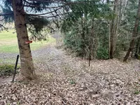 Недвижимость Дом, Яворник: 14