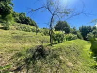 Недвижимость Дом, Мали Чирник при Шентьянже: 11