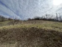 Недвижимость Дом, Долина при Лендаве: 22