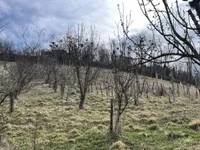 Недвижимость Дом, Долина при Лендаве: 23