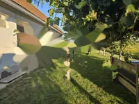 Недвижимость Дом с террасой Миховци: 1