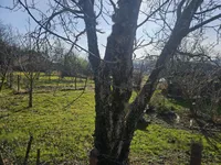 Недвижимость Дом в Селах при Добови: 6