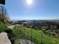 Недвижимость Дом, Словенска-Бистрица: 11