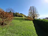 Недвижимость Дом, Словенска-Бистрица: 12