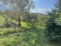 Недвижимость Дом в Забуковице: 7