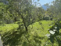 Недвижимость Дом в Забуковице: 8