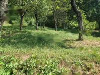 Недвижимость Дом, Содражица, Завода: 17