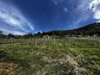 Недвижимость Дом в Ущелье: 5