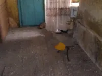 Недвижимость Дом, Лиг, Файлы: 8