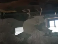 Недвижимость Дом, Лиг, Файлы: 12