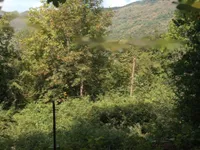 Недвижимость Дом, Лиг, Файлы: 16