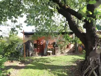 Недвижимость Дом, Грабшинцы: 26