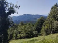 Недвижимость Дом в Топольшице: 3