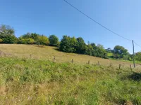 Недвижимость Дом в Златече у Новой Церкви: 13