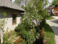 Недвижимость Дом, Церов Лог: 5