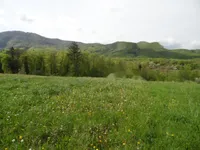 Недвижимость Дом, Церов Лог: 9