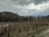 Недвижимость Дом, Дрёвник: 4