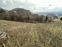 Недвижимость Дом, Дрёвник: 18