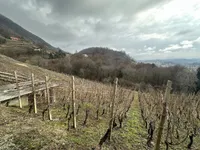 Недвижимость Дом, Дрёвник: 20