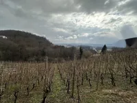 Недвижимость Дом, Дрёвник: 21