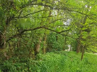 Недвижимость Дом Друго Чагона: 13