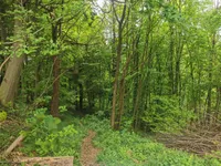 Недвижимость Дом Друго Чагона: 14