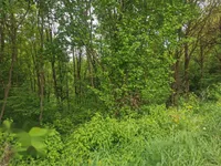 Недвижимость Дом Друго Чагона: 15