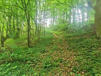 Недвижимость Дом Друго Чагона: 18