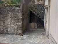 Недвижимость Семейный дом Опатия Центр: 7