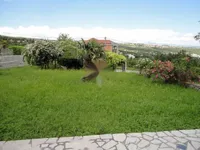 Недвижимость Квартира в центре Опатии: 9