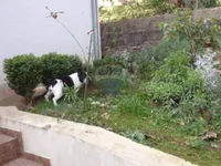 Недвижимость Семейный дом в центре Опатии: 11