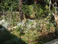 Недвижимость Семейный дом в центре Опатии: 12