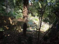 Недвижимость Семейный дом в центре Опатии: 14