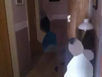 Недвижимость Семейный дом Побри, Опатия: 8