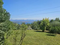 Недвижимость Четырехкомнатная квартира: 19