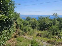 Недвижимость Четырехкомнатная квартира: 20